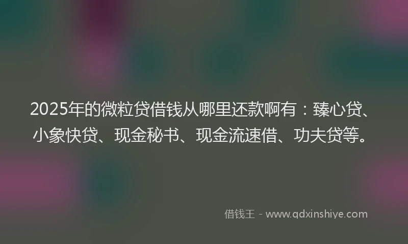 2025年的微粒贷借钱从哪里还款啊有：臻心贷、小象快贷、现金秘书、现金流速借、功夫贷等。