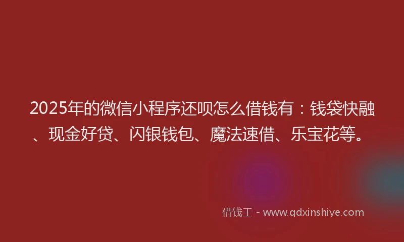 2025年的微信小程序还呗怎么借钱有：钱袋快融、现金好贷、闪银钱包、魔法速借、乐宝花等。