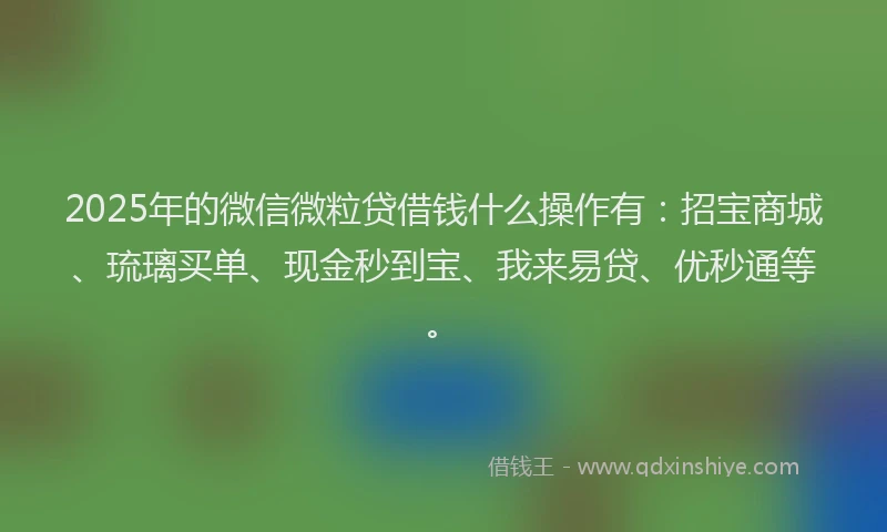 2025年的微信微粒贷借钱什么操作有：招宝商城、琉璃买单、现金秒到宝、我来易贷、优秒通等。