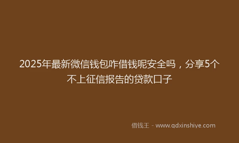 2025年最新微信钱包咋借钱呢安全吗，分享5个不上征信报告的贷款口子