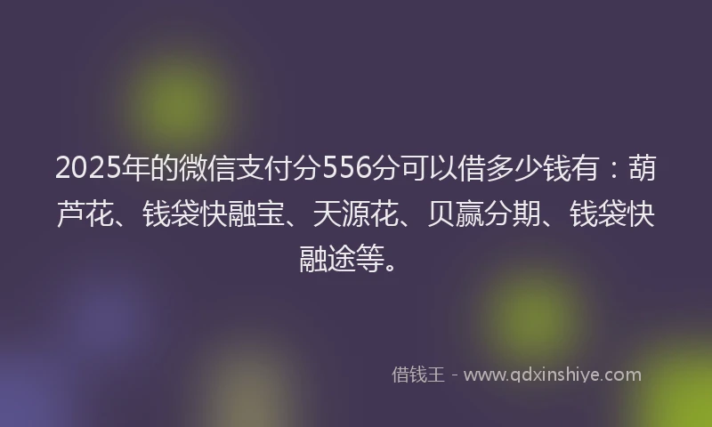 2025年的微信支付分556分可以借多少钱有：葫芦花、钱袋快融宝、天源花、贝赢分期、钱袋快融途等。