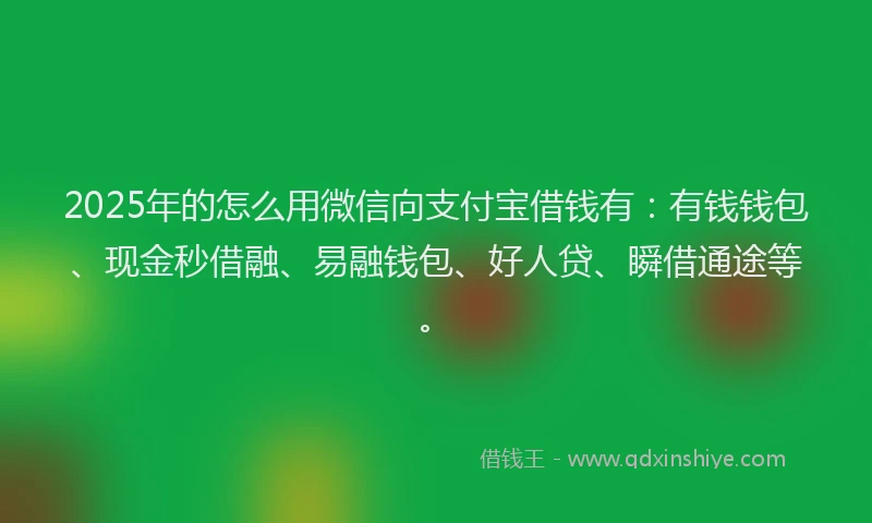 2025年的怎么用微信向支付宝借钱有：有钱钱包、现金秒借融、易融钱包、好人贷、瞬借通途等。