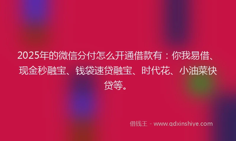 2025年的微信分付怎么开通借款有：你我易借、现金秒融宝、钱袋速贷融宝、时代花、小油菜快贷等。