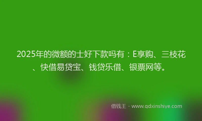2025年的微额的士好下款吗有：E享购、三枝花、快借易贷宝、钱贷乐借、银票网等。