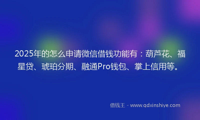 2025年的怎么申请微信借钱功能有：葫芦花、福星贷、琥珀分期、融通Pro钱包、掌上信用等。