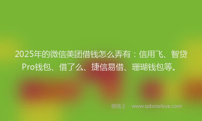 2025年的微信美团借钱怎么弄有：信用飞、智贷Pro钱包、借了么、捷信易借、珊瑚钱包等。