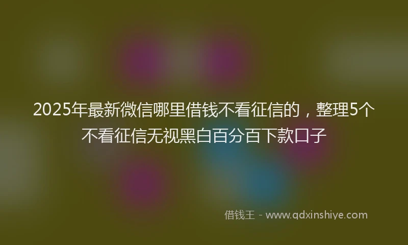 2025年最新微信哪里借钱不看征信的，整理5个不看征信无视黑白百分百下款口子