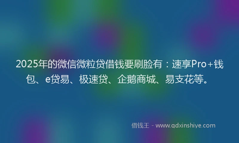 2025年的微信微粒贷借钱要刷脸有：速享Pro+钱包、e贷易、极速贷、企鹅商城、易支花等。