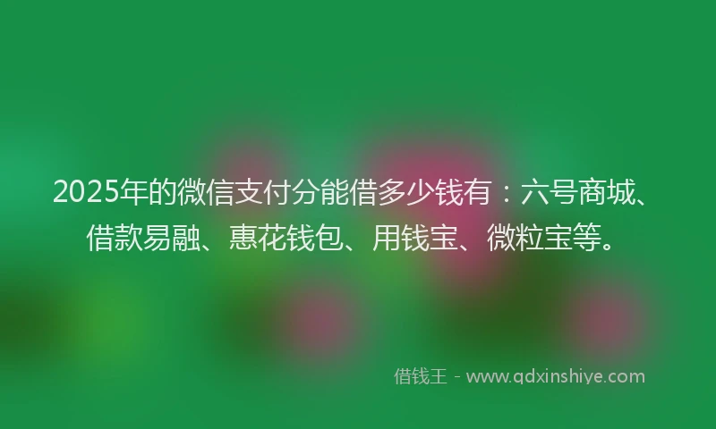2025年的微信支付分能借多少钱有：六号商城、借款易融、惠花钱包、用钱宝、微粒宝等。