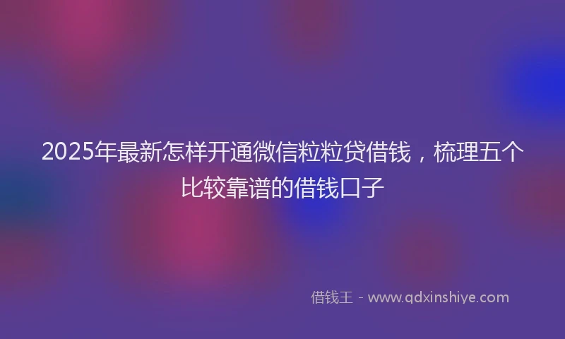 2025年最新怎样开通微信粒粒贷借钱，梳理五个比较靠谱的借钱口子