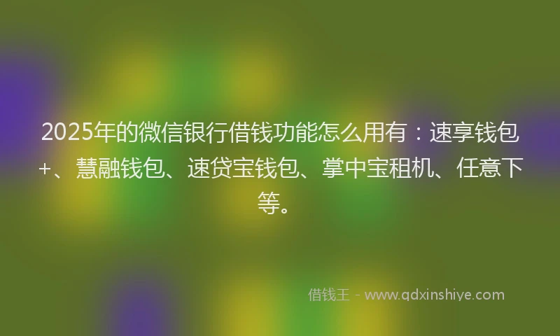 2025年的微信银行借钱功能怎么用有：速享钱包+、慧融钱包、速贷宝钱包、掌中宝租机、任意下等。