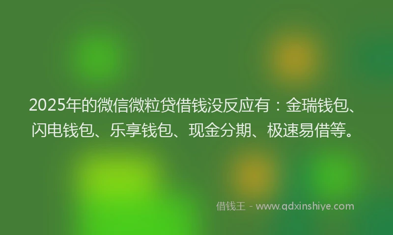 2025年的微信微粒贷借钱没反应有：金瑞钱包、闪电钱包、乐享钱包、现金分期、极速易借等。