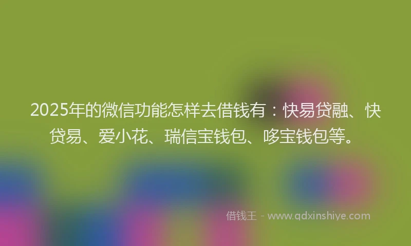 2025年的微信功能怎样去借钱有：快易贷融、快贷易、爱小花、瑞信宝钱包、哆宝钱包等。