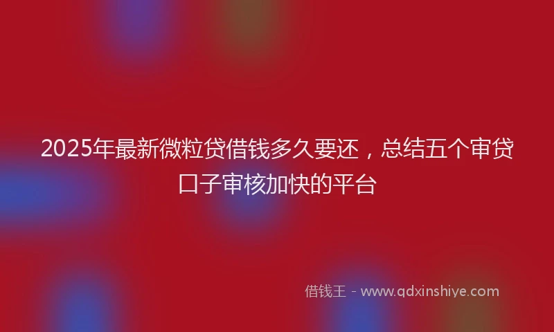 2025年最新微粒贷借钱多久要还，总结五个审贷口子审核加快的平台