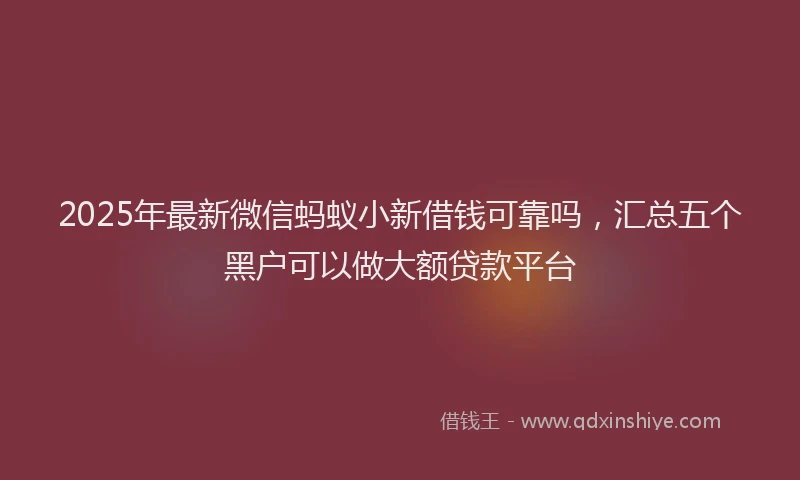 2025年最新微信蚂蚁小新借钱可靠吗，汇总五个黑户可以做大额贷款平台