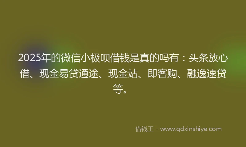 2025年的微信小极呗借钱是真的吗有：头条放心借、现金易贷通途、现金站、即客购、融逸速贷等。