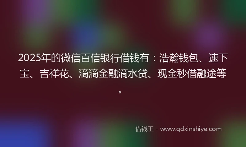 2025年的微信百信银行借钱有：浩瀚钱包、速下宝、吉祥花、滴滴金融滴水贷、现金秒借融途等。