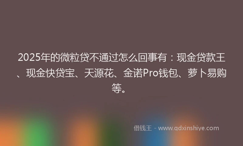 2025年的微粒贷不通过怎么回事有：现金贷款王、现金快贷宝、天源花、金诺Pro钱包、萝卜易购等。