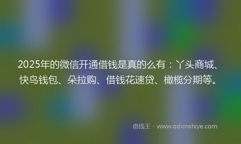 2025年的微信开通借钱是真的么有：丫头商城、快鸟钱包、朵拉购、借钱花速贷、橄榄分期等。