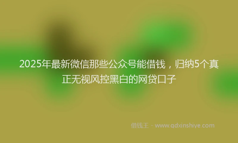2025年最新微信那些公众号能借钱，归纳5个真正无视风控黑白的网贷口子