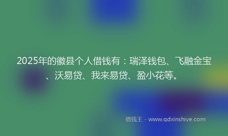 2025年的徽县个人借钱有：瑞泽钱包、飞融金宝、沃易贷、我来易贷、盈小花等。