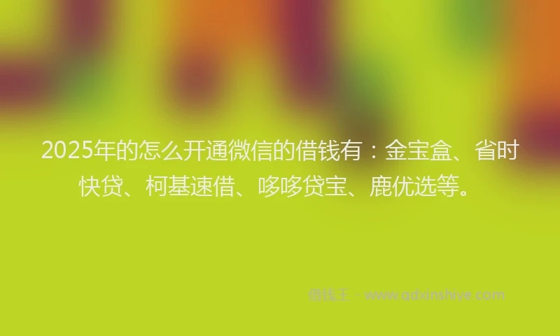 2025年的怎么开通微信的借钱有：金宝盒、省时快贷、柯基速借、哆哆贷宝、鹿优选等。