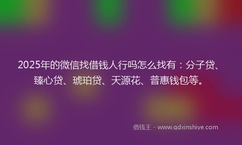 2025年的微信找借钱人行吗怎么找有：分子贷、臻心贷、琥珀贷、天源花、普惠钱包等。