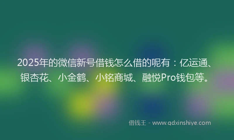 2025年的微信新号借钱怎么借的呢有：亿运通、银杏花、小金鹤、小铭商城、融悦Pro钱包等。