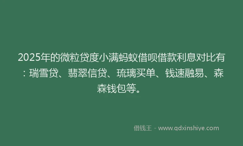 2025年的微粒贷度小满蚂蚁借呗借款利息对比有：瑞雪贷、翡翠信贷、琉璃买单、钱速融易、森森钱包等。