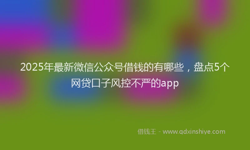 2025年最新微信公众号借钱的有哪些，盘点5个网贷口子风控不严的app