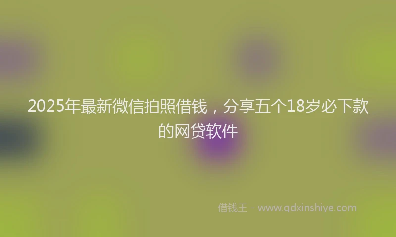 2025年最新微信拍照借钱，分享五个18岁必下款的网贷软件