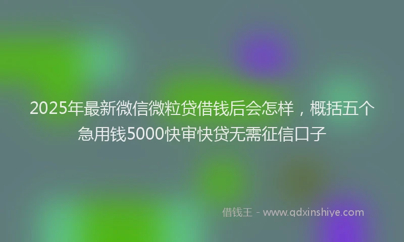 2025年最新微信微粒贷借钱后会怎样，概括五个急用钱5000快审快贷无需征信口子