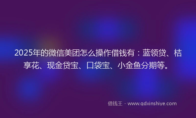 2025年的微信美团怎么操作借钱有：蓝领贷、桔享花、现金贷宝、口袋宝、小金鱼分期等。