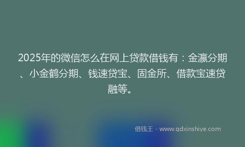 2025年的微信怎么在网上贷款借钱有：金瀛分期、小金鹤分期、钱速贷宝、固金所、借款宝速贷融等。