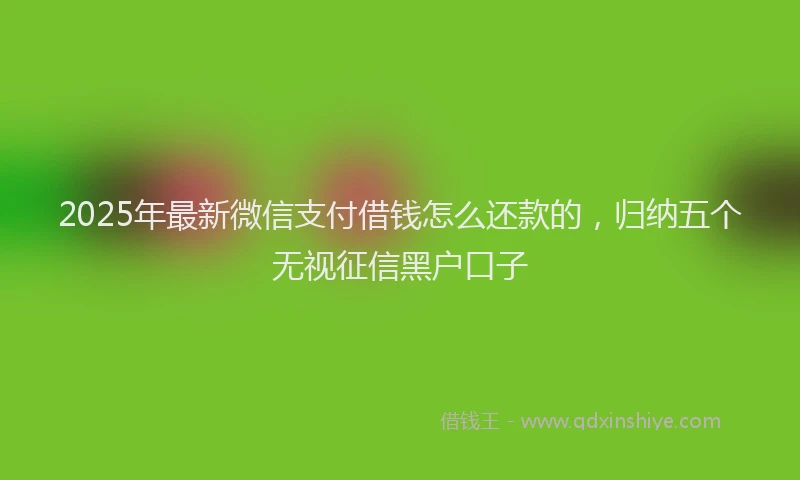 2025年最新微信支付借钱怎么还款的，归纳五个无视征信黑户口子