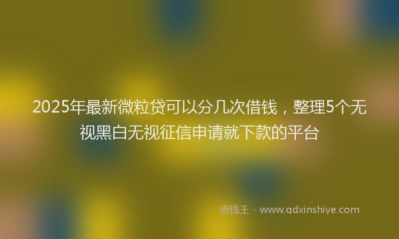 2025年最新微粒贷可以分几次借钱，整理5个无视黑白无视征信申请就下款的平台