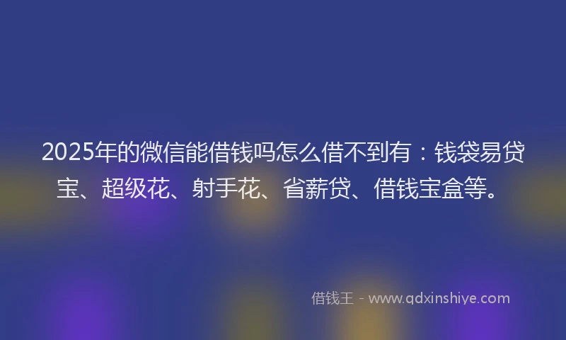 2025年的微信能借钱吗怎么借不到有：钱袋易贷宝、超级花、射手花、省薪贷、借钱宝盒等。