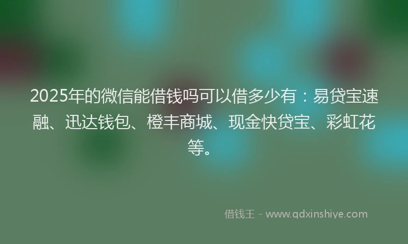 2025年的微信能借钱吗可以借多少有：易贷宝速融、迅达钱包、橙丰商城、现金快贷宝、彩虹花等。