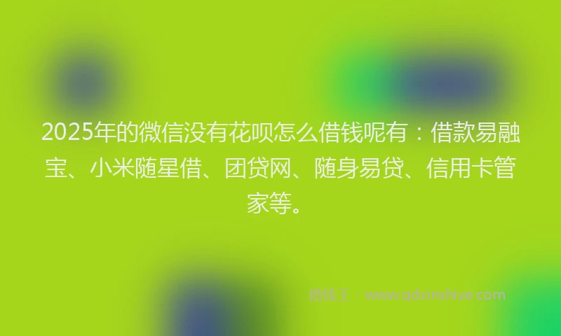 2025年的微信没有花呗怎么借钱呢有：借款易融宝、小米随星借、团贷网、随身易贷、信用卡管家等。