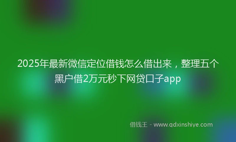 2025年最新微信定位借钱怎么借出来，整理五个黑户借2万元秒下网贷口子app
