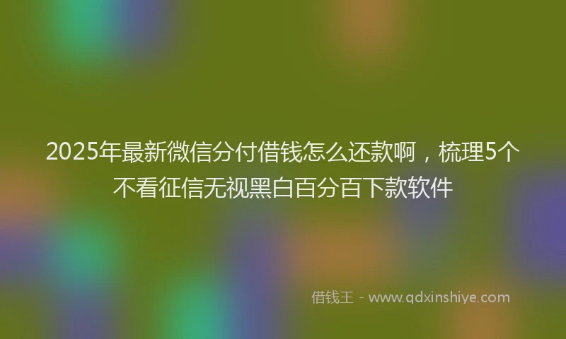 2025年最新微信分付借钱怎么还款啊，梳理5个不看征信无视黑白百分百下款软件