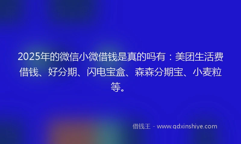 2025年的微信小微借钱是真的吗有：美团生活费借钱、好分期、闪电宝盒、森森分期宝、小麦粒等。