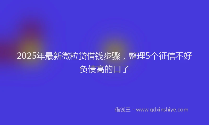 2025年最新微粒贷借钱步骤，整理5个征信不好负债高的口子