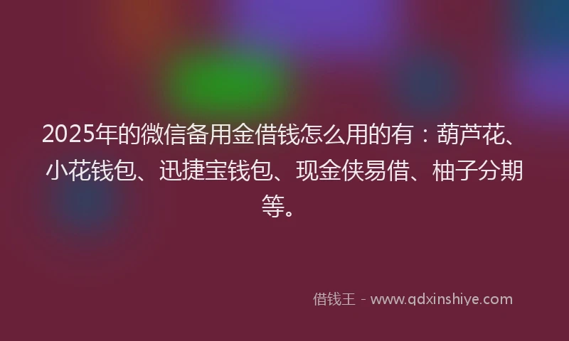 2025年的微信备用金借钱怎么用的有：葫芦花、小花钱包、迅捷宝钱包、现金侠易借、柚子分期等。