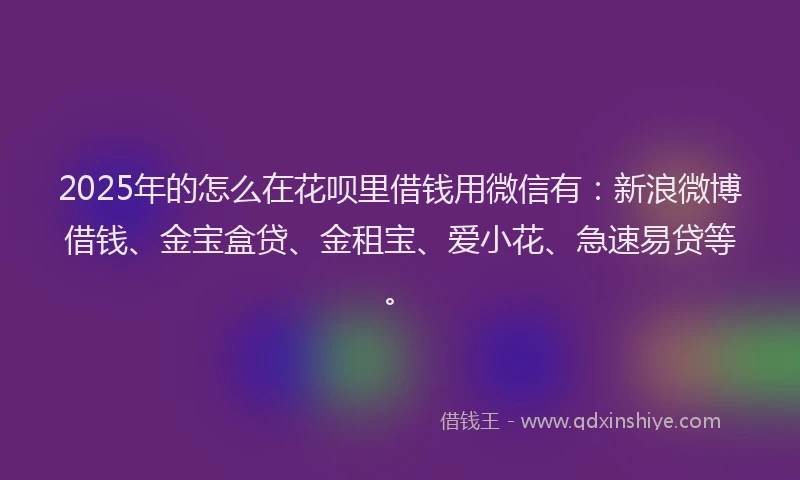 2025年的怎么在花呗里借钱用微信有：新浪微博借钱、金宝盒贷、金租宝、爱小花、急速易贷等。