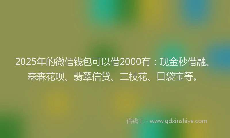 2025年的微信钱包可以借2000有：现金秒借融、森森花呗、翡翠信贷、三枝花、口袋宝等。