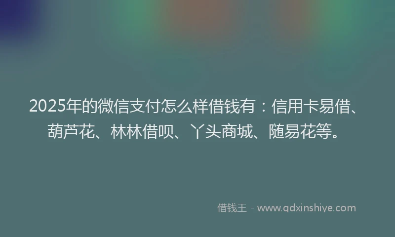 2025年的微信支付怎么样借钱有：信用卡易借、葫芦花、林林借呗、丫头商城、随易花等。