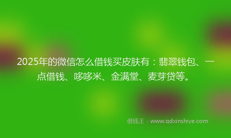 2025年的微信怎么借钱买皮肤有：翡翠钱包、一点借钱、哆哆米、金满堂、麦芽贷等。