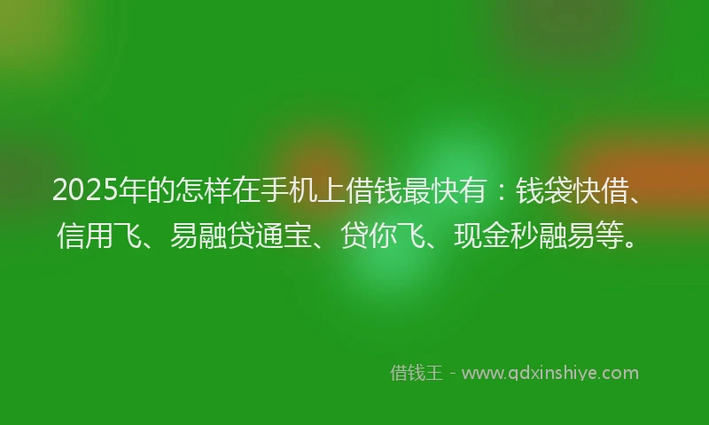 2025年的怎样在手机上借钱最快有：钱袋快借、信用飞、易融贷通宝、贷你飞、现金秒融易等。