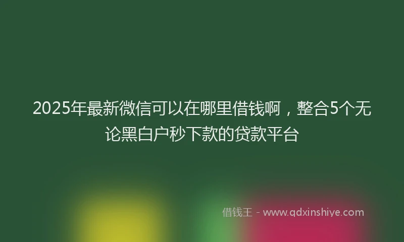 2025年最新微信可以在哪里借钱啊，整合5个无论黑白户秒下款的贷款平台